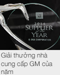 Giải thưởng nhà cung cấp GM của năm 