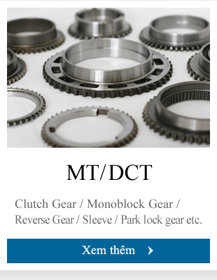 Clutch Gear / Monoblock Gear / Reverse Gear / Sleeve / Park lock gear etc.