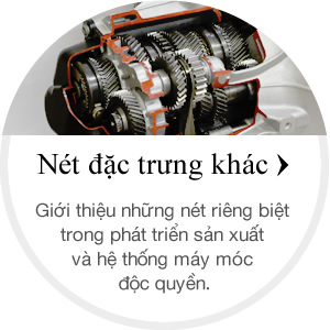 Nét đặc trưng khác